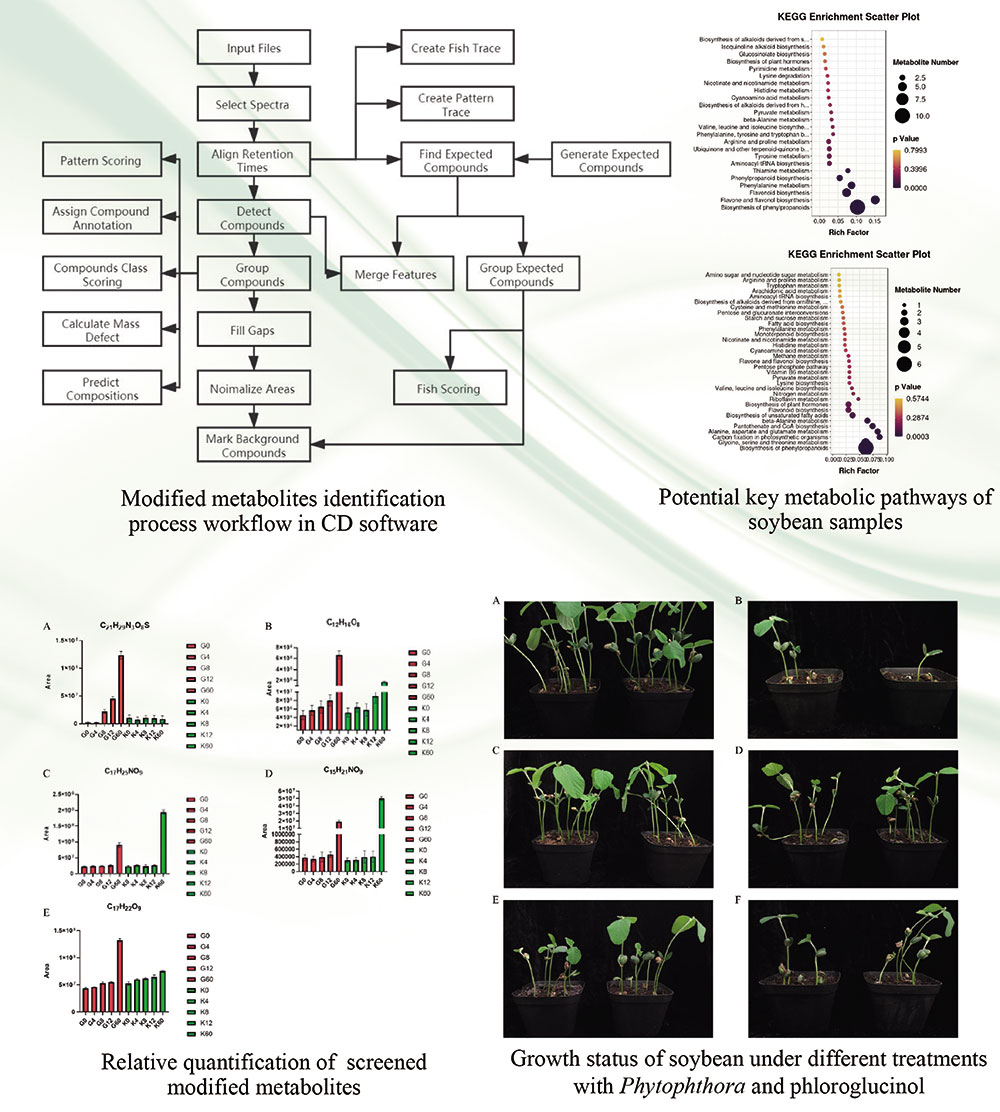 Study on modified metabolites in untargeted metabolomics based on UPLC-MS
