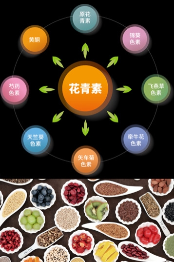  广东植物色素检测