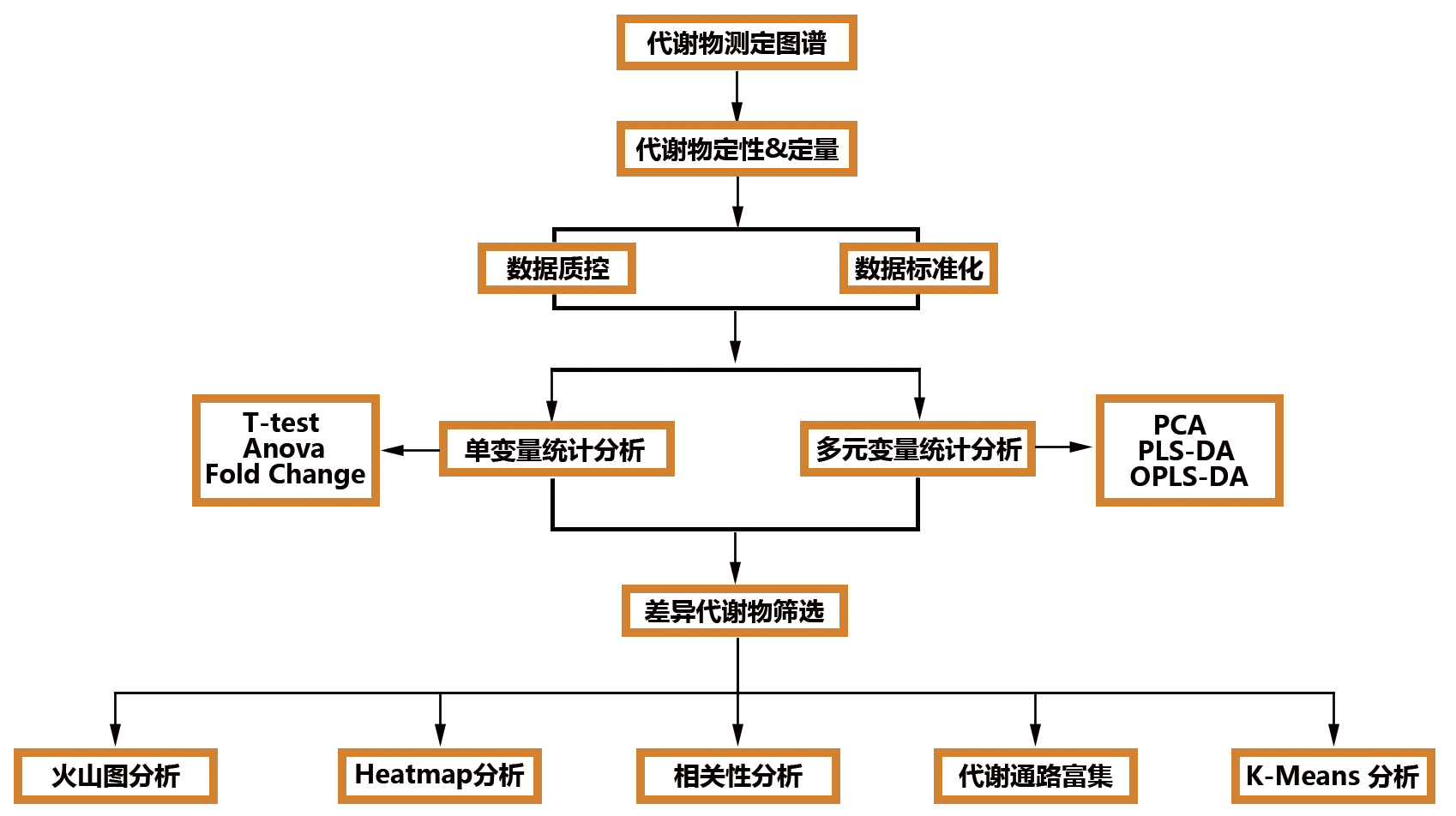 分析流程