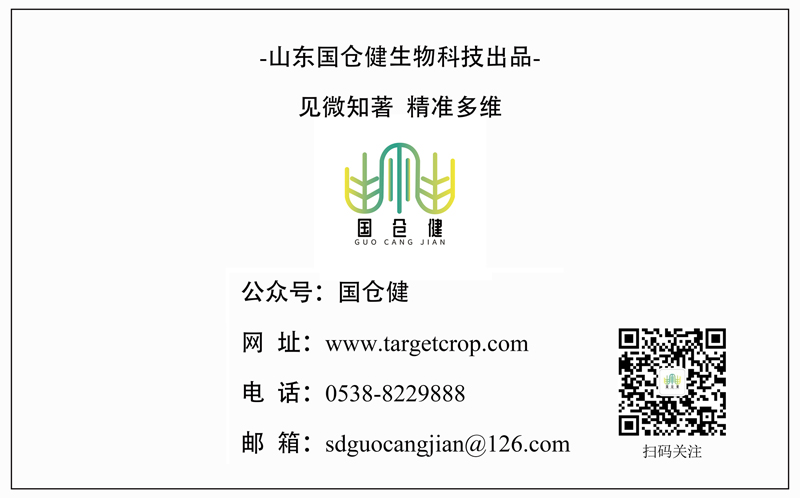公众号底端-网站使用 公众号底端-网站使用