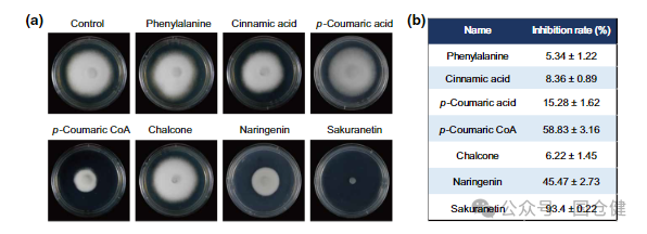 微信图片_20250107092940