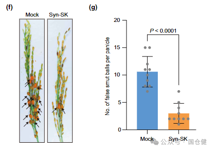 微信图片_20250107092943