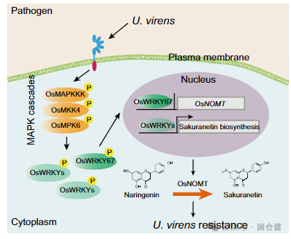 微信图片_20250107092945